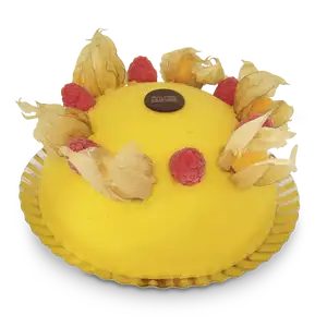 Entremet glacé Exotique - Pâtisserie Lejeune