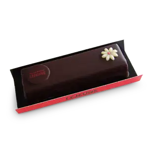 Succès chocolat - Pâtisserie Lejeune