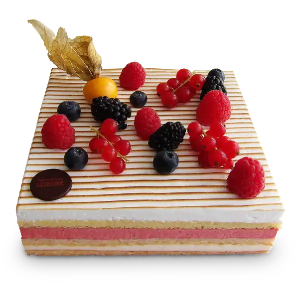 Entremet Tropique - Pâtisserie Lejeune